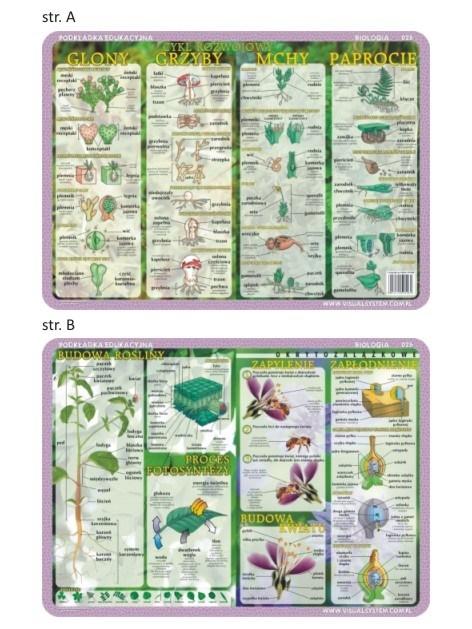 Carte Podkładka edukacyjna 026 Biologia. Budowa Rośliny i Kwiatu, Cykl Rozwojowy Glony,Grzyby,Mchy,Paproc 