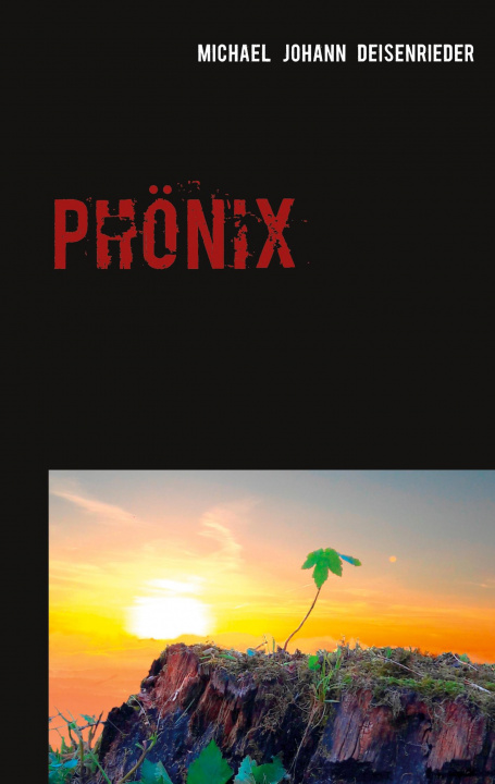 Knjiga Phoenix Michael Johann Deisenrieder