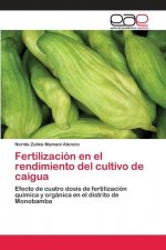 Könyv Fertilizacion en el rendimiento del cultivo de caigua 