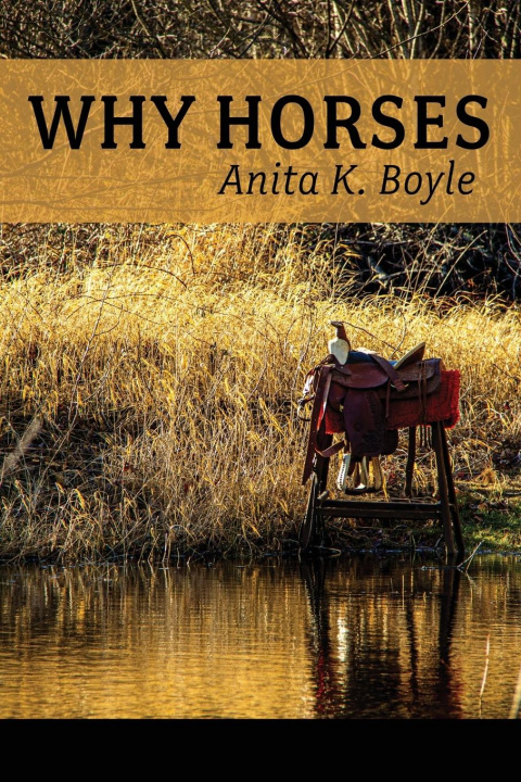 Buch Why Horses Lana Hechtman Ayers