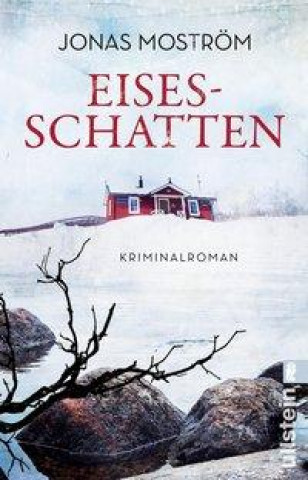 Buch Eisesschatten Dagmar Mißfeldt