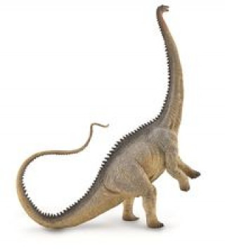 Książka Dinozaur Diplodocus 