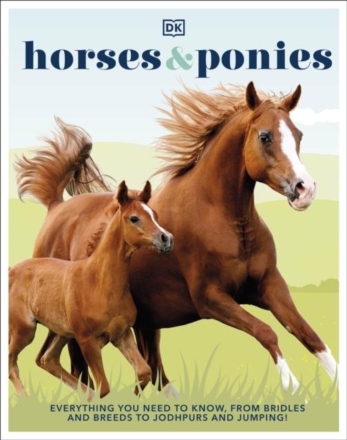 Book Horses & Ponies DK