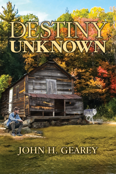 Knjiga Destiny Unknown Gearey John H. Gearey
