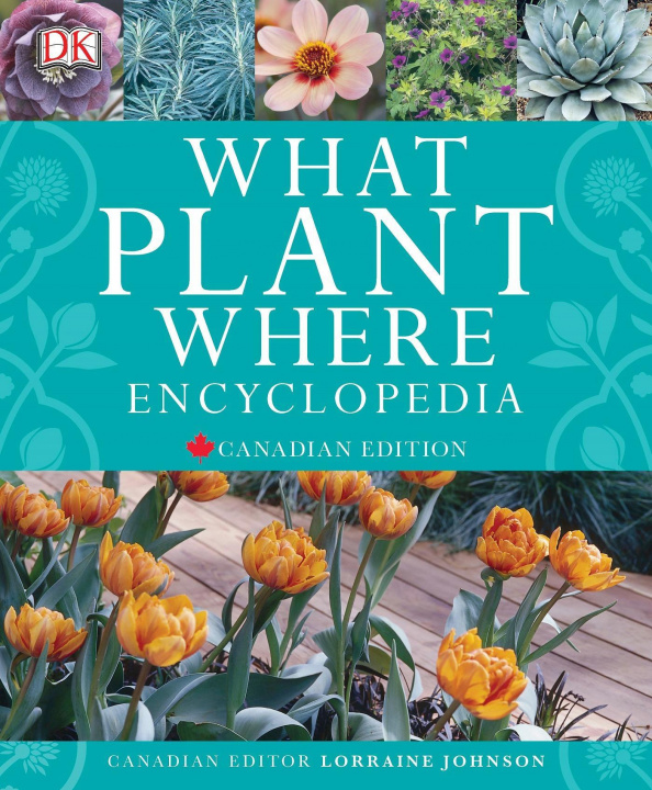 Kniha WHAT PLANT WHERE ENCYCLOPEDIA DK