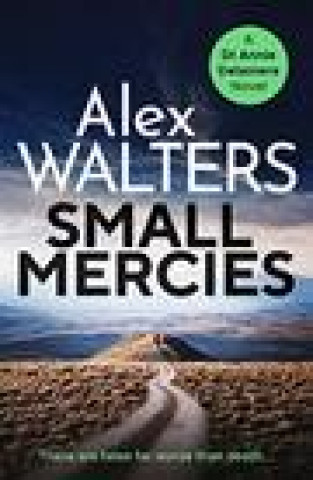 Book Small Mercies Alex Walters