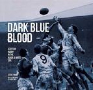 Книга Dark Blue Blood Steve Finan