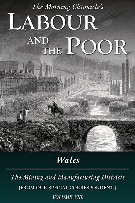 Książka Labour and the Poor Volume VIII Correspondent Special Correspondent
