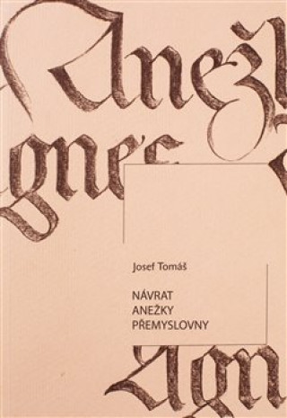 Kniha Návrat Anežky Přemyslovny Josef Tomáš