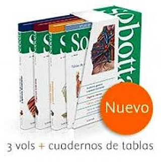Kniha LOTE LORENTE+PAULSEN.MANUAL DE MIOLOGÍA+SOBOTTA.ATLAS DE ANATOMÍA.TOMO I LORENTE