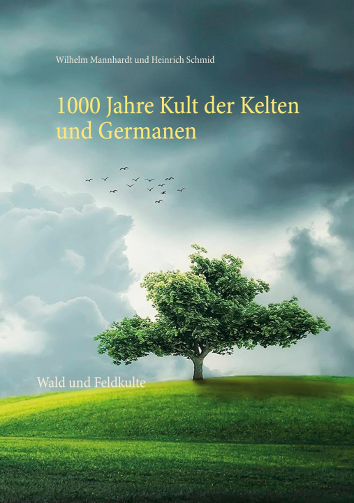 Könyv 1000 Jahre Kult der Kelten und Germanen Heinrich Schmid