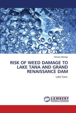 Carte Risk of Weed Damage to Lake Tana and Grand Renaissance Dam 