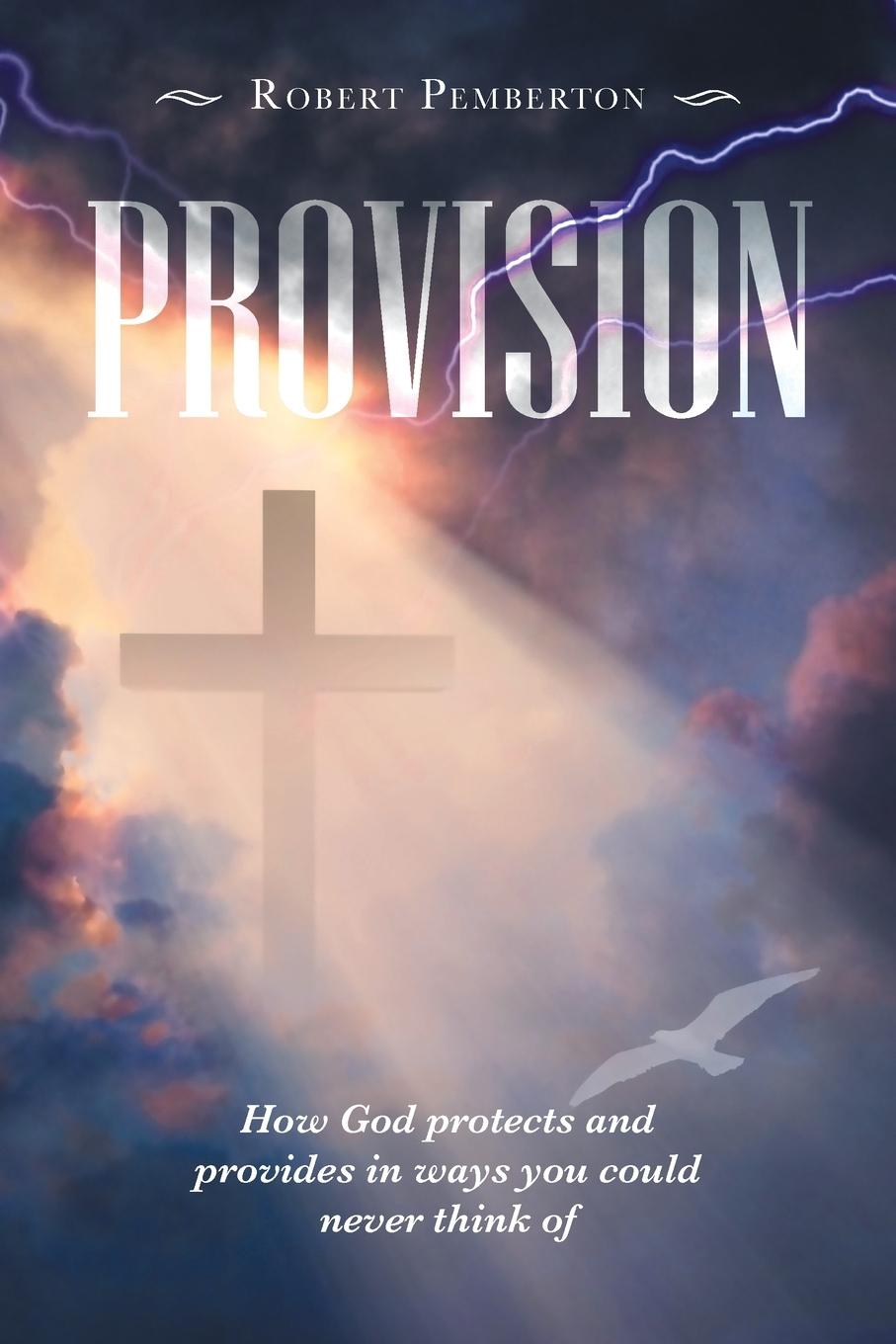 Knjiga Provision Robert Pemberton