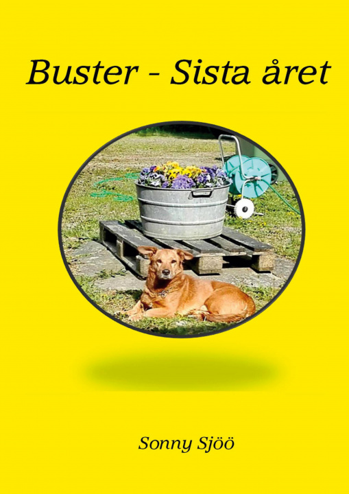 Kniha Buster - sista aret 