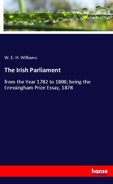 Kniha The Irish Parliament 