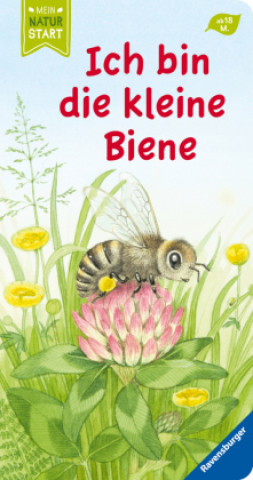 Kniha Ich bin die kleine Biene Christine Henkel