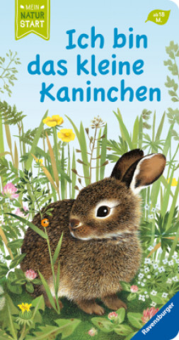 Kniha Ich bin das kleine Kaninchen Gerda Muller