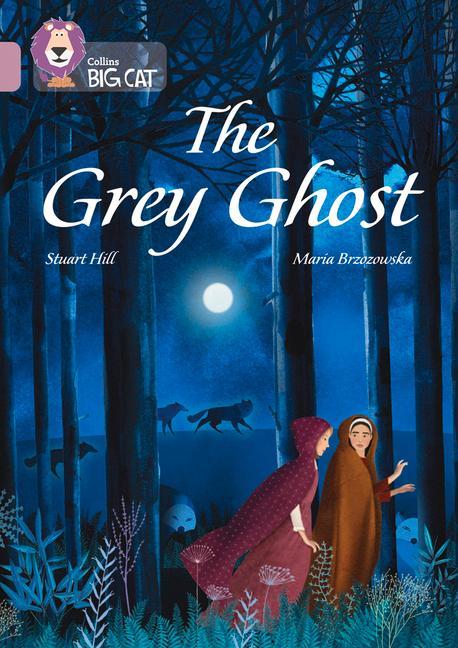 Knjiga Grey Ghost Stuart Hill