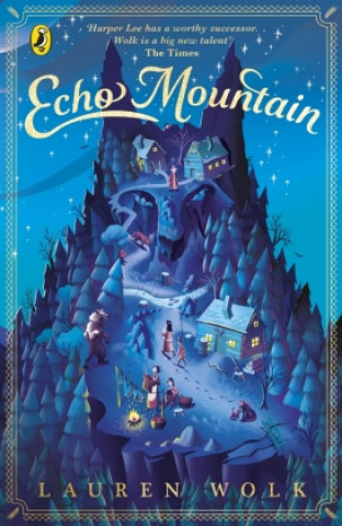 Könyv Echo Mountain Lauren Wolk