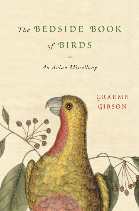Książka Bedside Book of Birds 