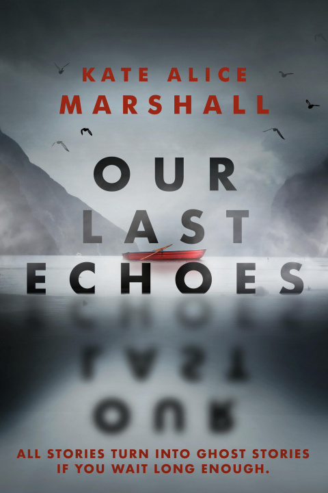 Buch Our Last Echoes 