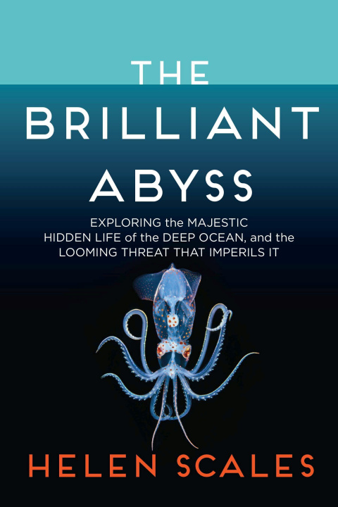 Könyv The Brilliant Abyss: Exploring the Majestic Hidden Life of the Deep Ocean, and the Looming Threat That Imperils It 