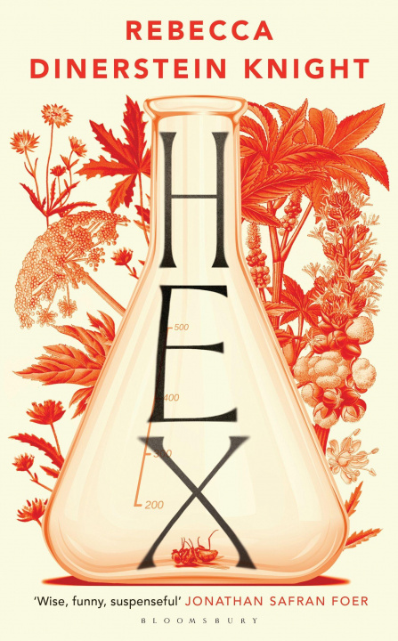 Kniha Hex Rebecca Dinerstein Knight