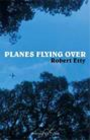 Book Planes Flying Over Robert Etty