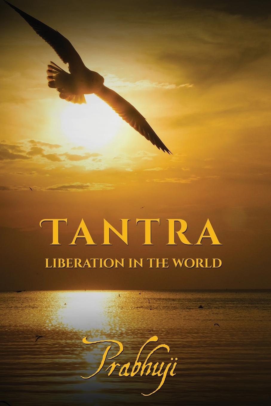 Kniha Tantra - Liberation in the world 