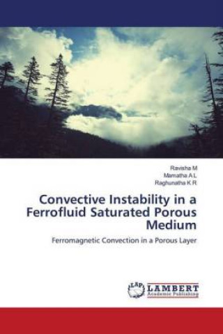 Knjiga Convective Instability in a Ferrofluid Saturated Porous Medium Mamatha A L