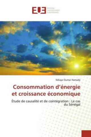 Buch Consommation d'energie et croissance economique Ndiaye Oumar Hamady