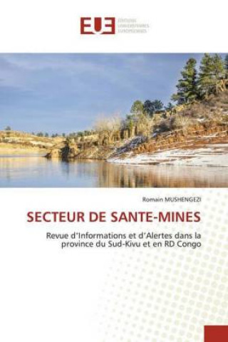 Carte Secteur de Sante-Mines 