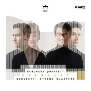 Zvok Schubert:Fragment (String Quartets) 