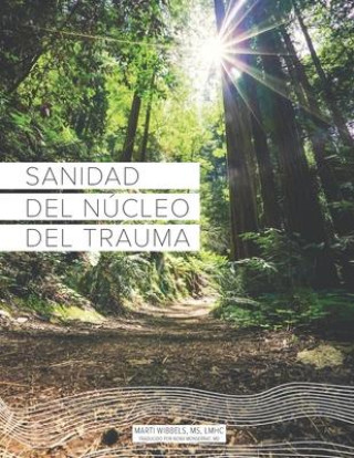 Könyv Sanidad del Núcleo Del Trauma Nora Monserrat