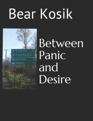 Könyv Between Panic and Desire 