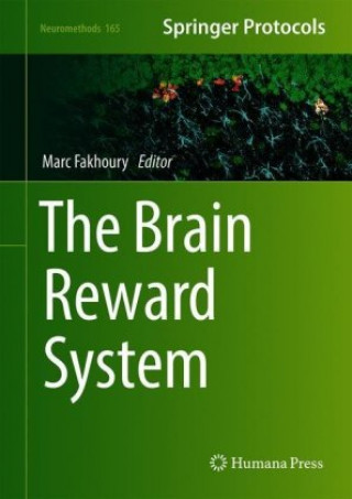 Kniha The Brain Reward System 