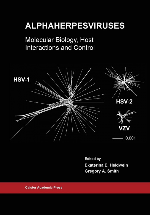 Knjiga Alphaherpesviruses Gregory A Smith