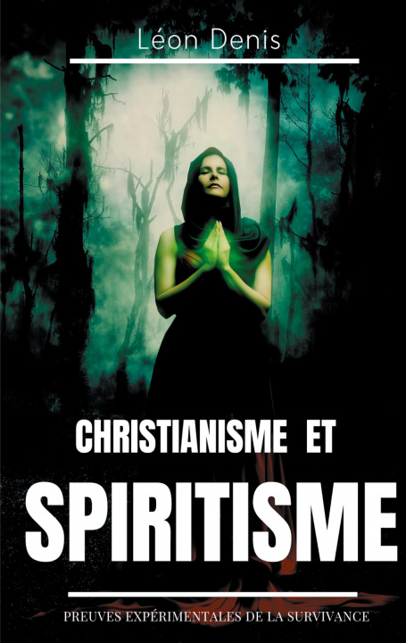 Kniha Christianisme et Spiritisme 