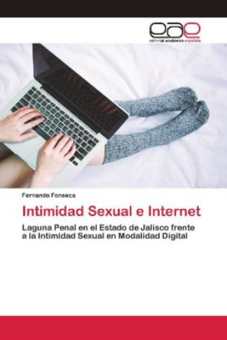 Buch Intimidad Sexual e Internet Fernando Fonseca