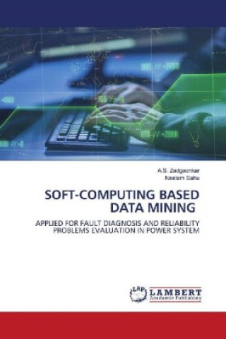 Buch SOFT-COMPUTING BASED DATA MINING Neelam Sahu