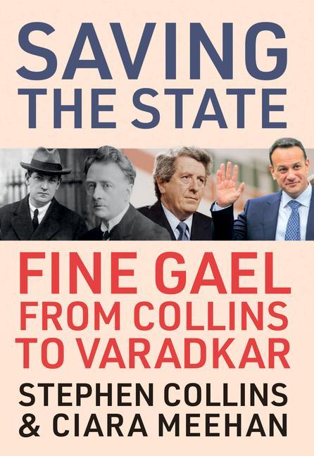 Buch Saving the State Ciara Meehan