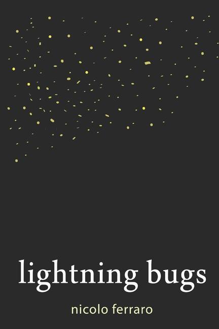 Buch Lightning Bugs Nicolo Ferraro