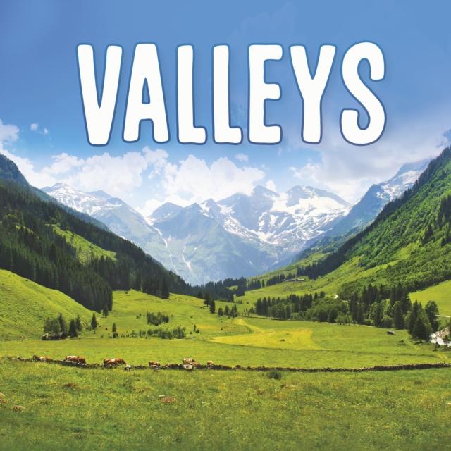 Knjiga Valleys Lisa J. Amstutz