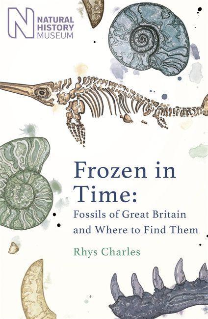 Kniha Frozen in Time Rhys Charles