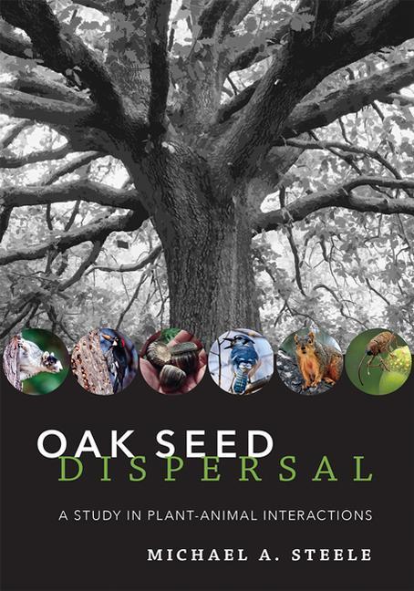 Kniha Oak Seed Dispersal 