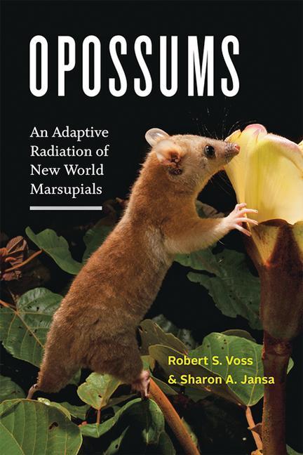 Kniha Opossums Sharon A. Jansa