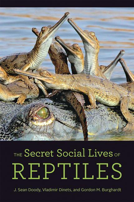 Könyv Secret Social Lives of Reptiles Gordon M. Burghardt