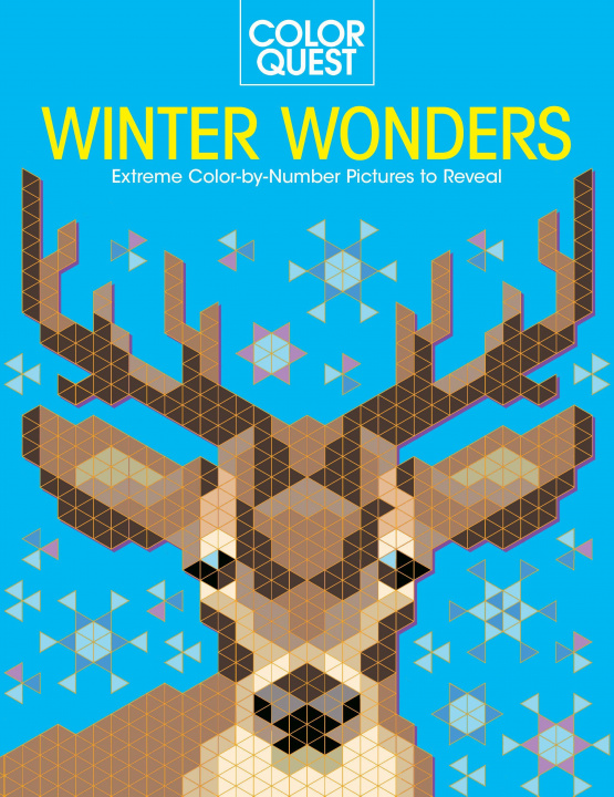 Book Color Quest: Winter Wonders: Extreme Color-By-Number Pictures to Reveal 