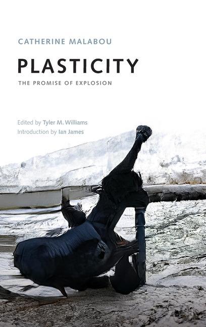 Książka Plasticity Ian James