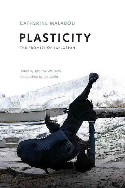 Kniha Plasticity Ian James